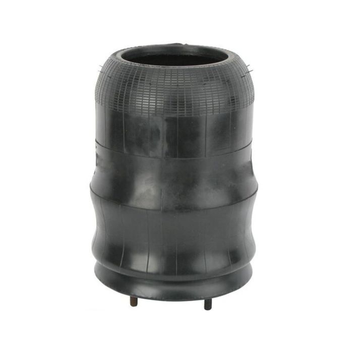 Air Springs Complete With Pistons - 789080-C