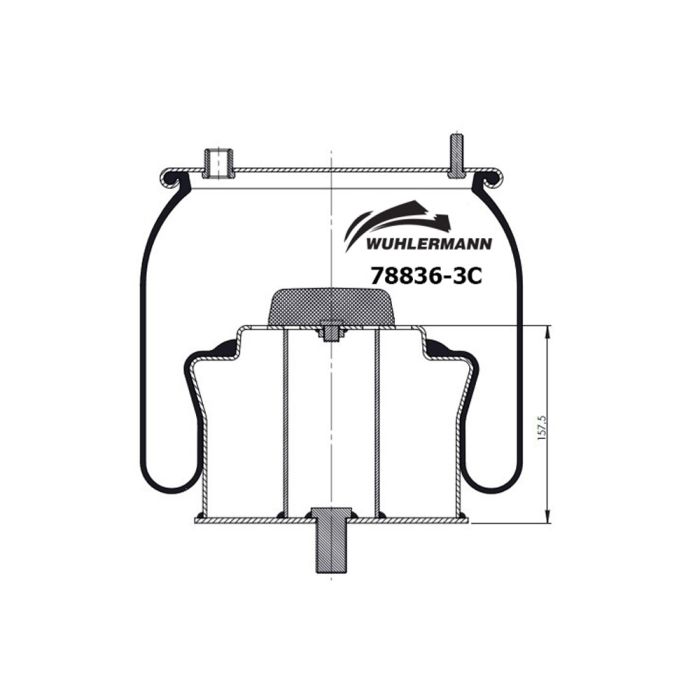 Air Springs Complete With Pistons -78836-3C