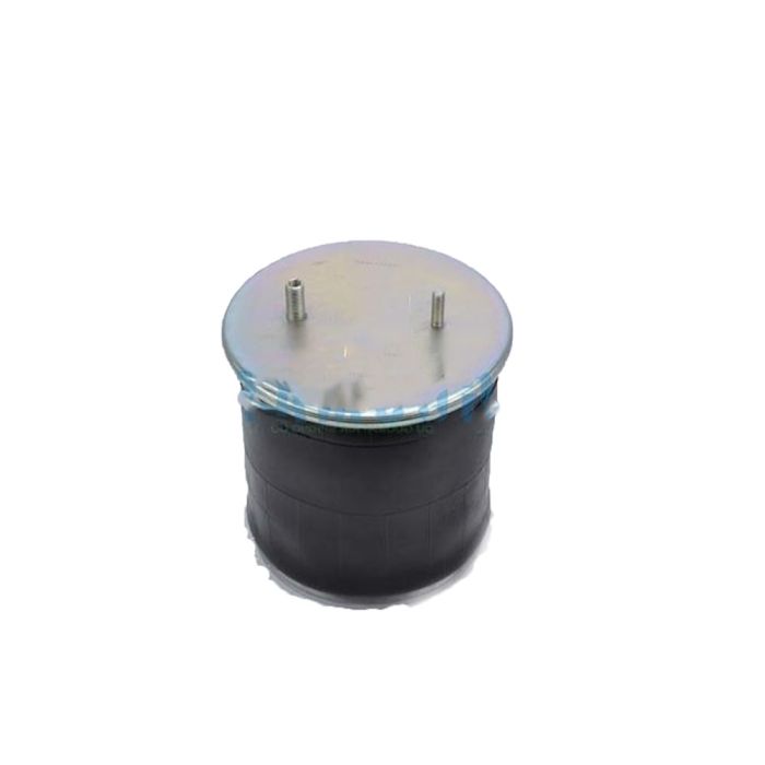 Air Springs (Complete With Pistons) - 784245-C