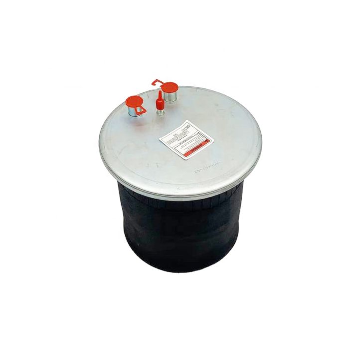 Air Springs (Complete With Pistons) - 784882-5C