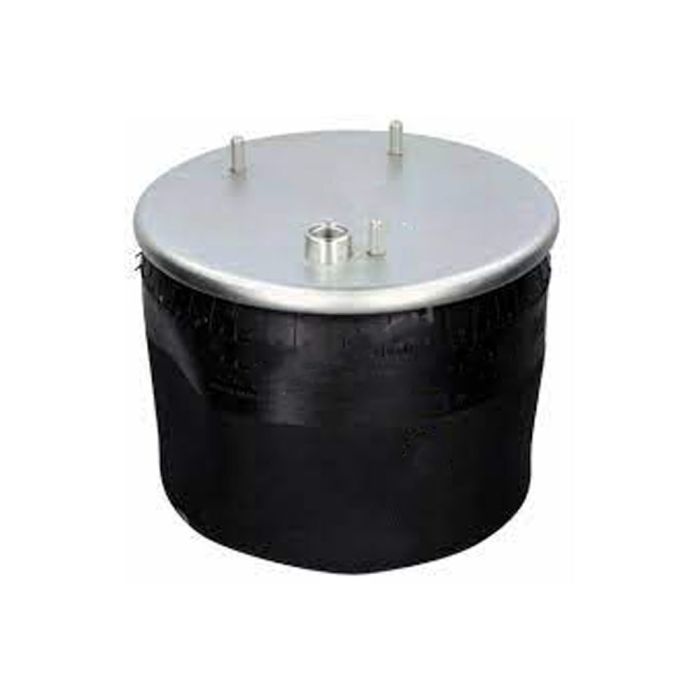 Air Springs Complete With Pistons - 789156-CPL