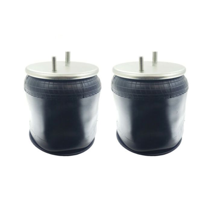 Air Springs Complete With Pistons - 789219-1C