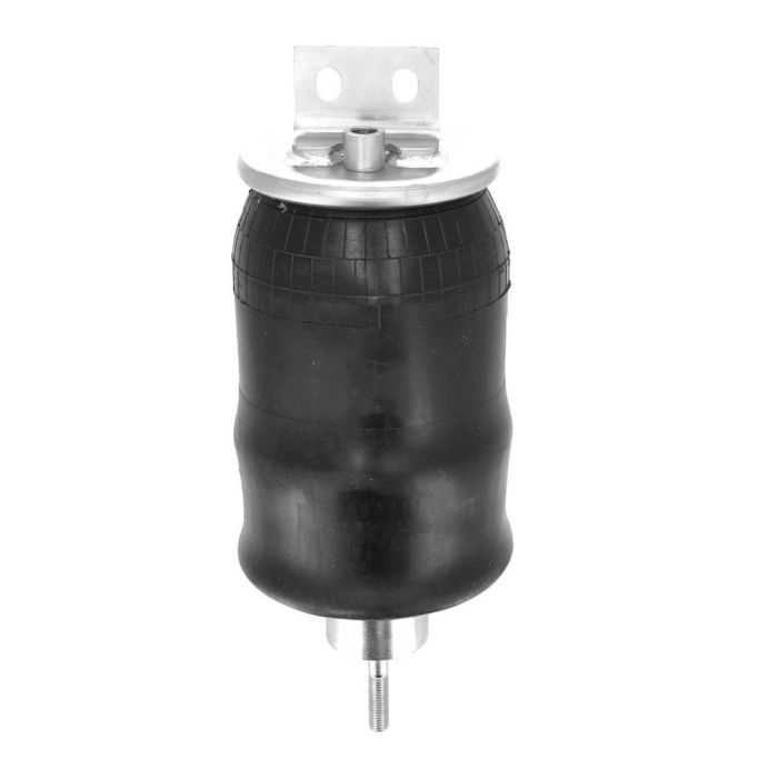 Air Springs Complete With Pistons - 787194-C