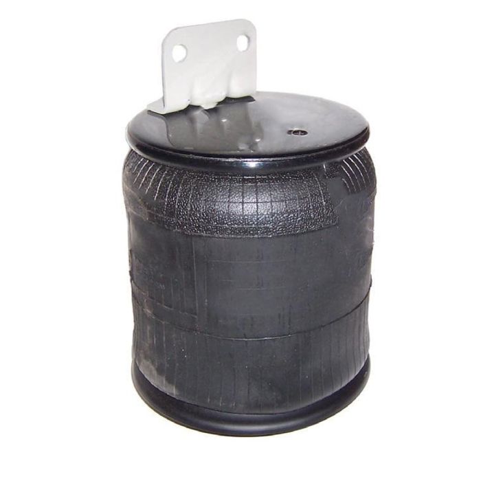 Air Springs Complete With Pistons - 789296-C