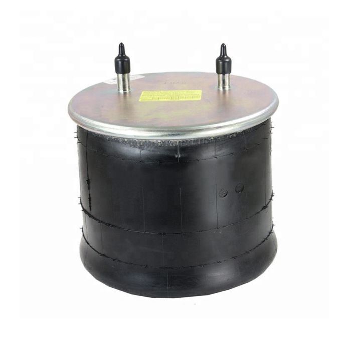 Air Springs Complete With Pistons - 789084-C