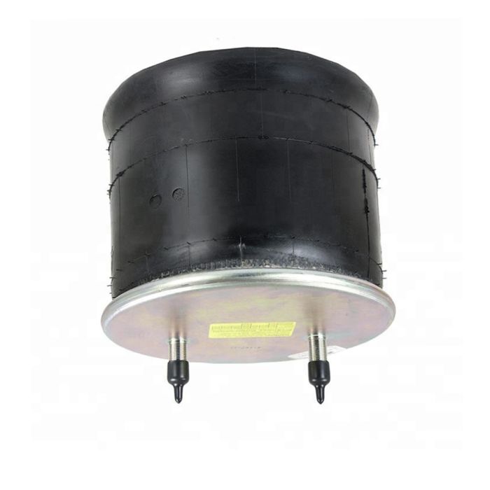 Air Spring Service Assembly - 789121-S