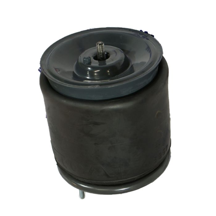 Air Springs Complete With Pistons - 78836-20C