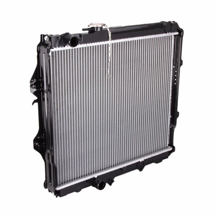 Radiator Assembly - 164005B590