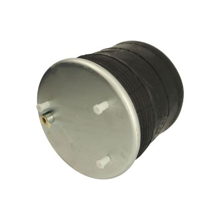 Air Springs Complete With Pistons - 78887-9C