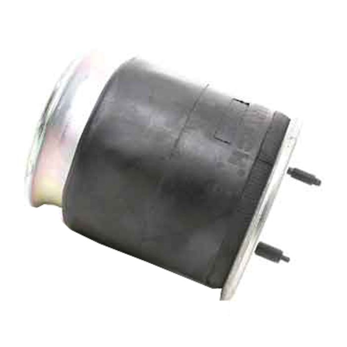 Air Spring (Complete With Pistons0 - 78810-10C
