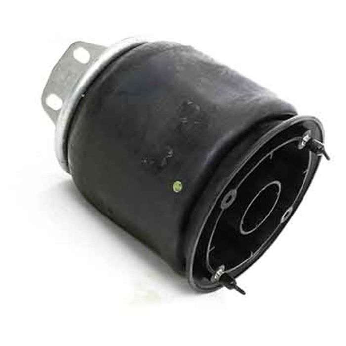 Air Springs Complete With Pistons - 789501-CPL
