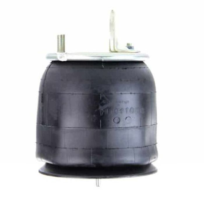 Air Springs Complete With Pistons -  789491-CPL