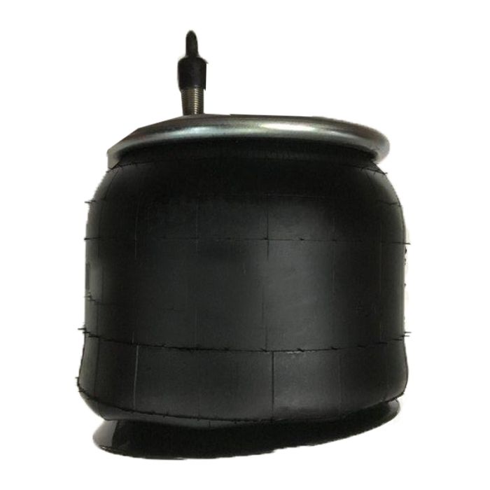 Air Springs Complete With Pistons - 789640-C