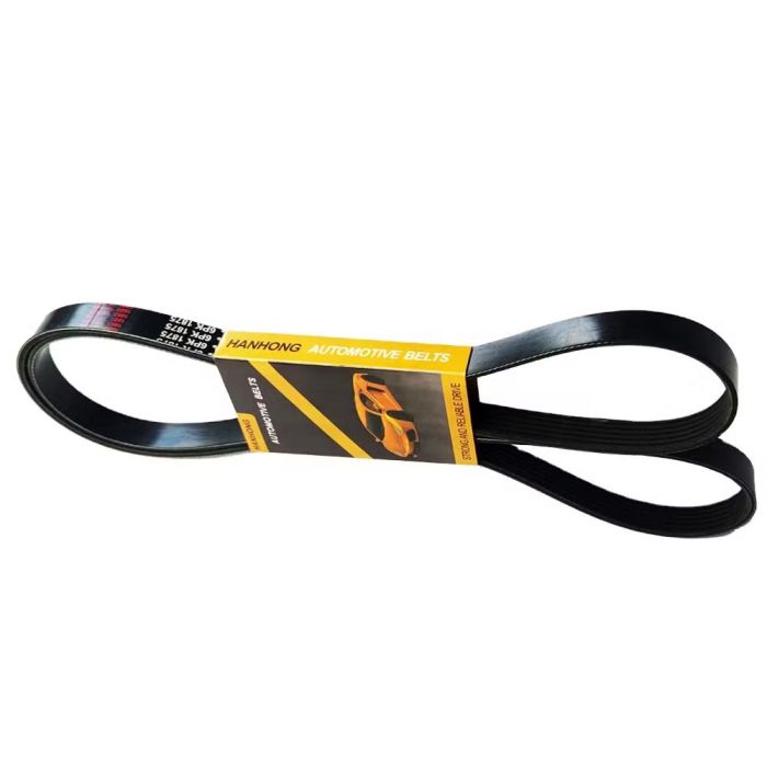 Alternator Assemble Belt - 23961764