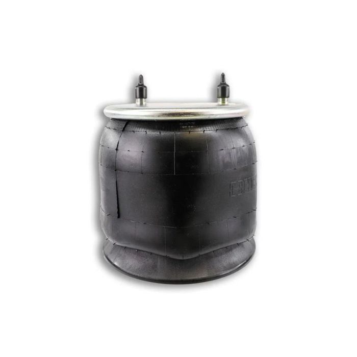 Air Springs (Complete With Piston) - 784156-17C