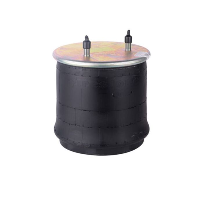Air Springs Complete With Pistons  - 784571-1C