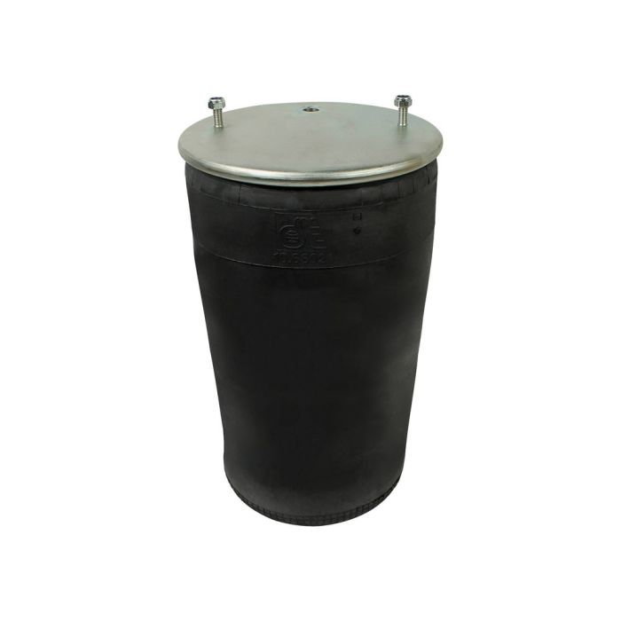 Air Spring Service Assembly - 789293-S