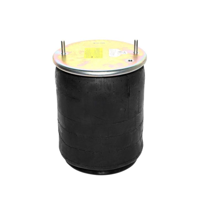 Air Springs Complete With Pistons - 787803-3C