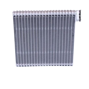 AC Evaporator-Pz02029