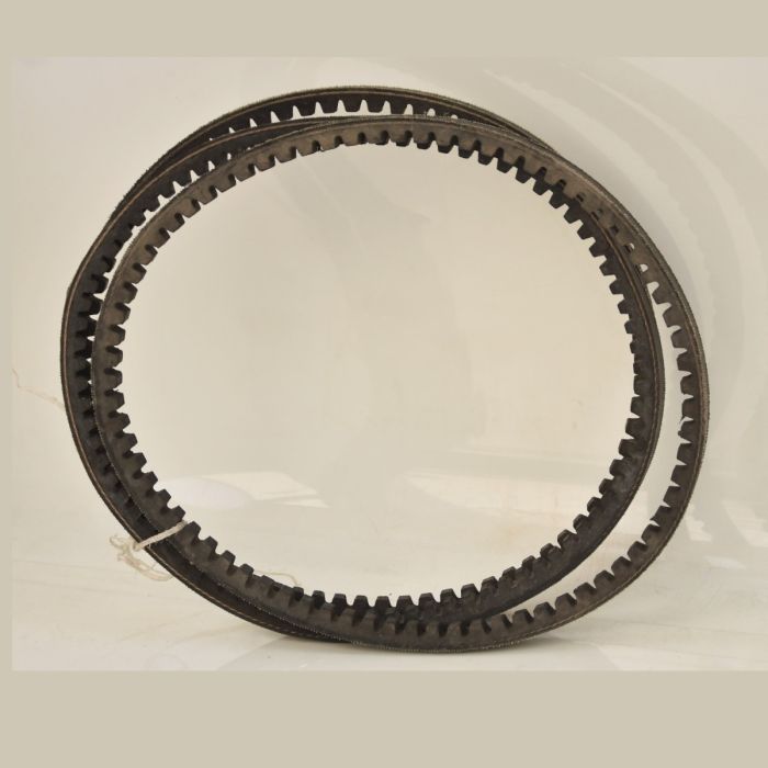 Teeth Belt - Avx10650
