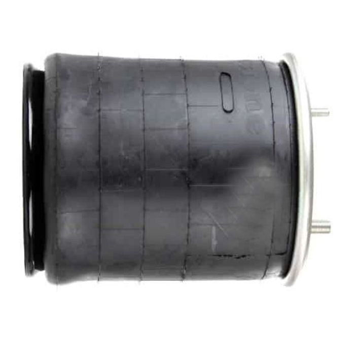 Air Springs Complete With Pistons - 782919-CPL