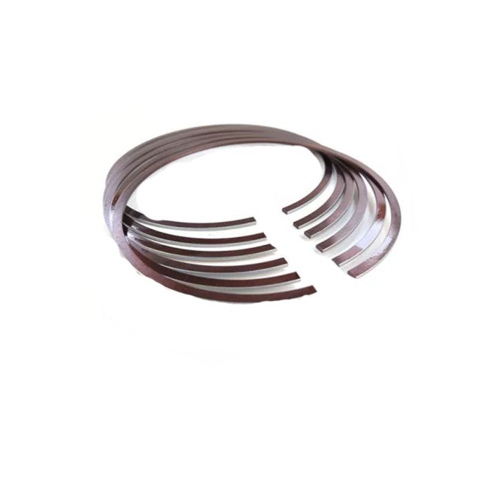 Piston Ring (Set) - 13011-30061