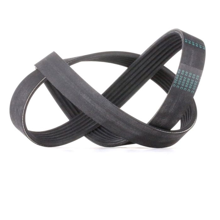 Fan Belt - 6PK-1005