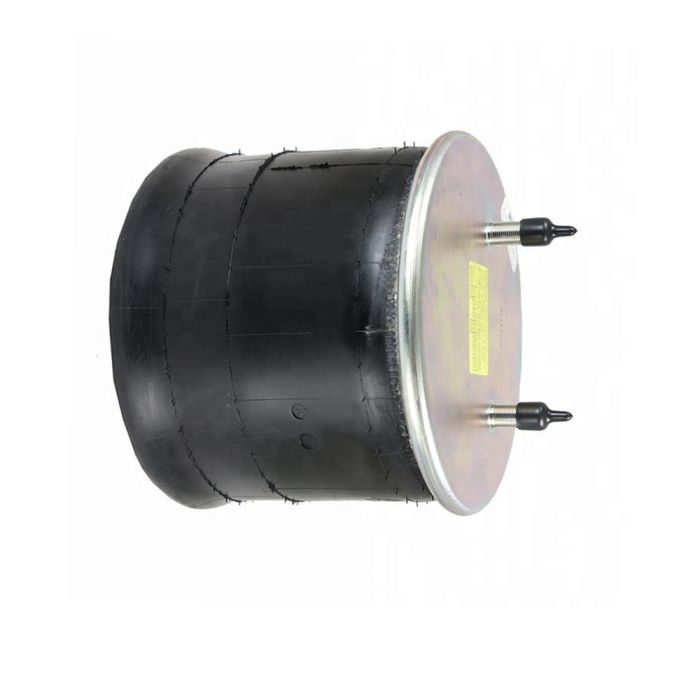 Air Springs Complete With Pistons - 789121-C