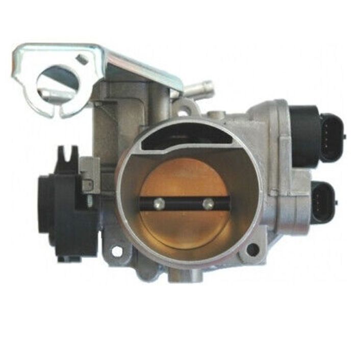 Cylinder Throttle - 211541000304