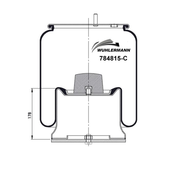 Air Springs Complete With Pistons - 784815-C
