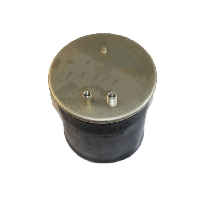Air Springs Complete With Pistons - 784819-C
