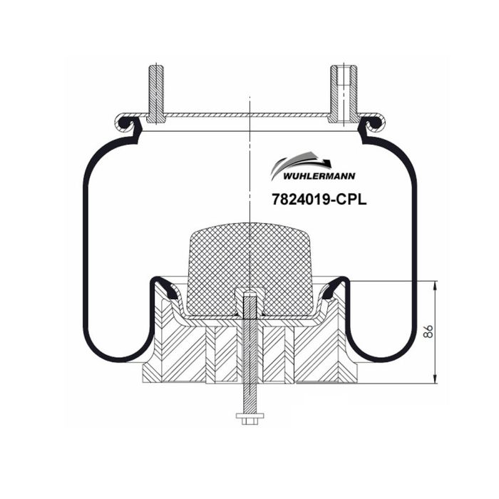 Air Springs Complete With Pistons - 7824019-CPL