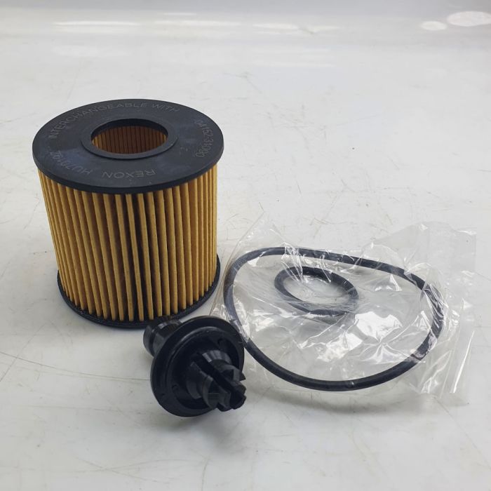 Rexon Oil Filter - HU7019Z