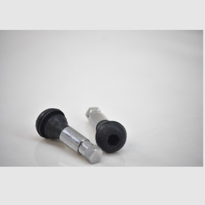Stainless Tubeless Valve  - 1926
