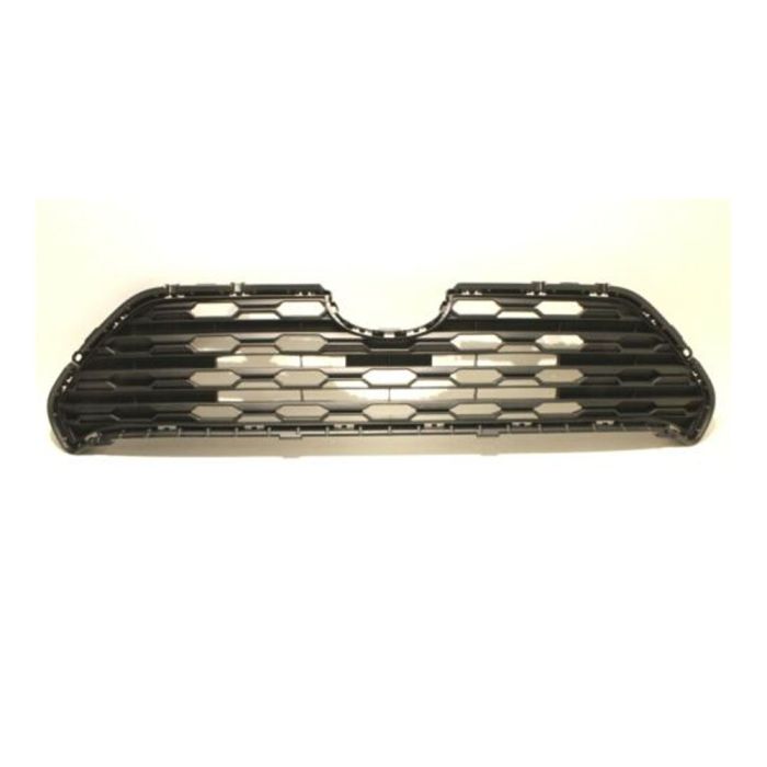 Bumper Grille - HLL01-2098-009