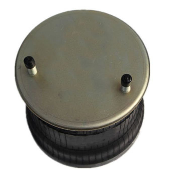 Air Springs Complete With Pistons - 788050-CALU