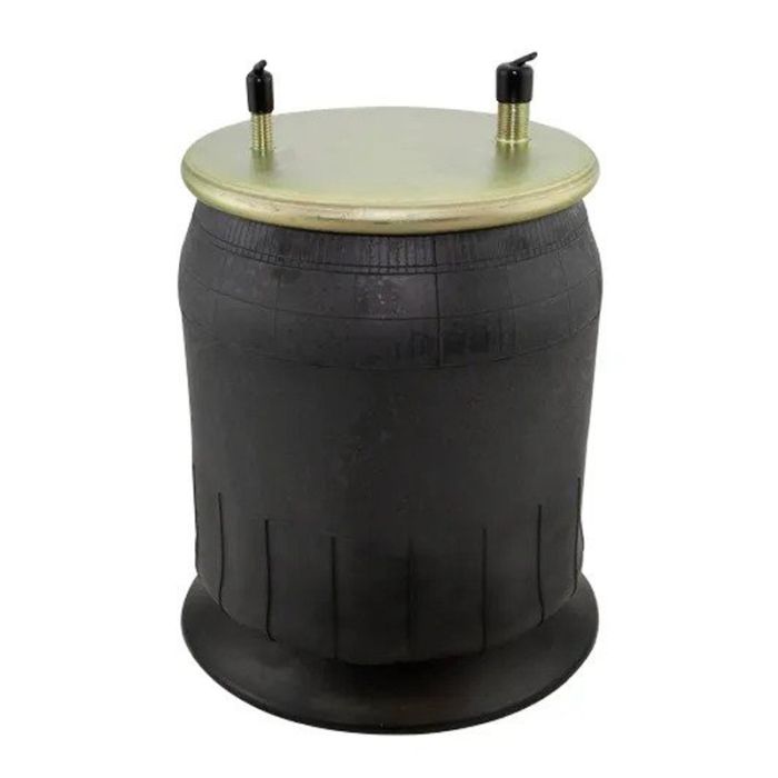 Air Springs Complete With Pistons - 787923-CPL