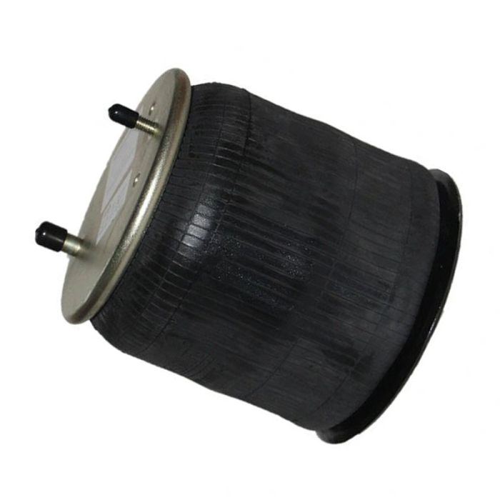 Air Spring - W01-M58-9466