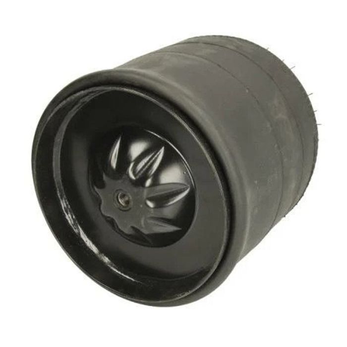 Air Springs Complete With Pistons - 784185-C
