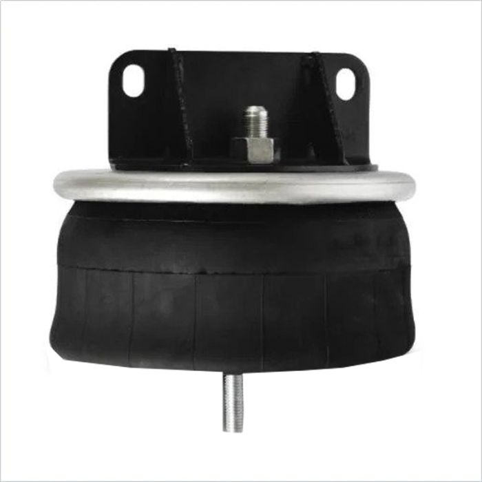 Air Springs Complete With Pistons - 789617-C