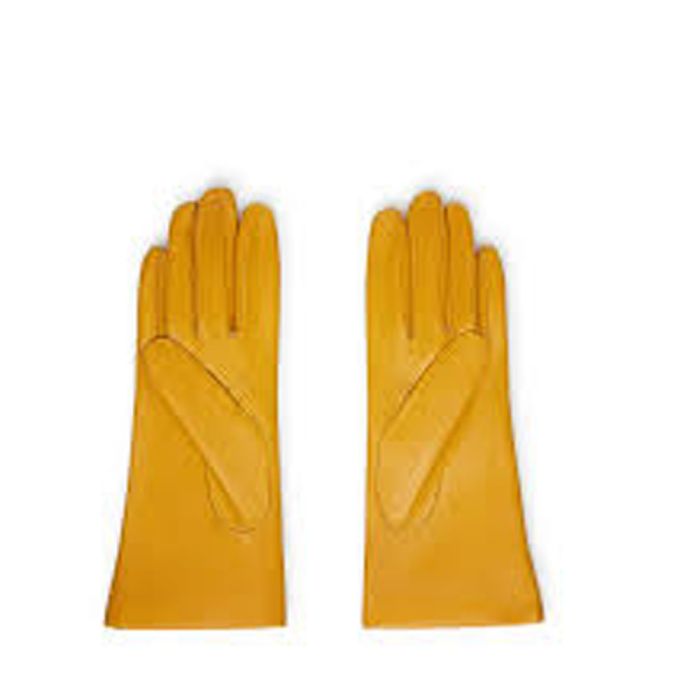 Leather Glove  - V1134184