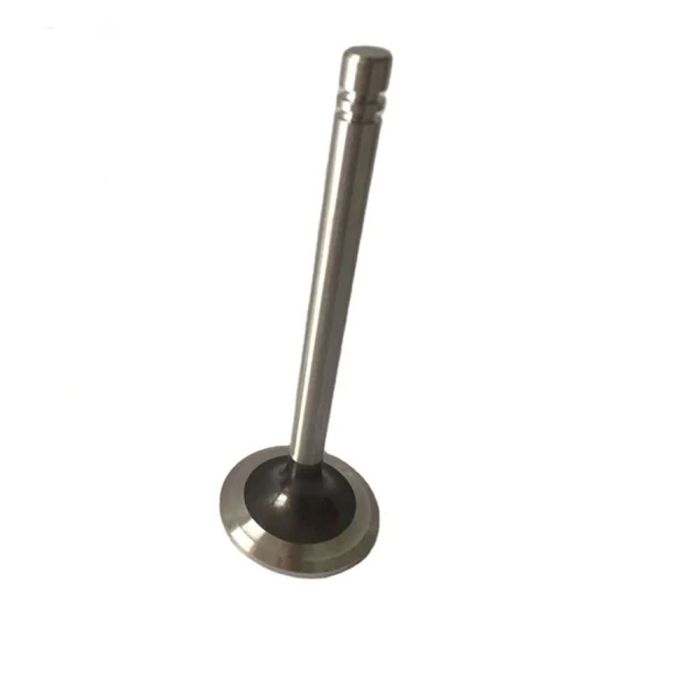 Engine Valve - 0T011-660143