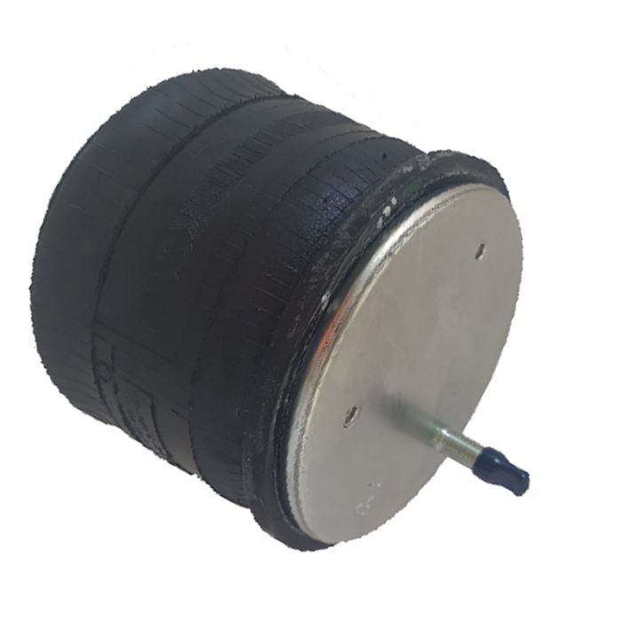 Air Springs Complete With Pistons - 789579-C