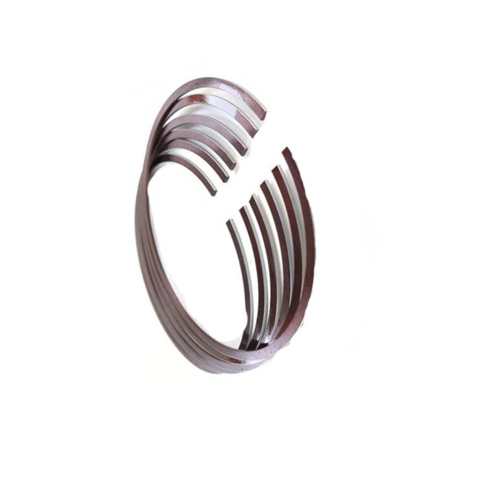 Piston Rings (Set) - 13001 - 30061
