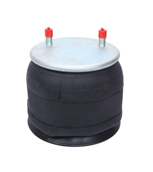 Air Springs Complete With Pistons - 782105-C