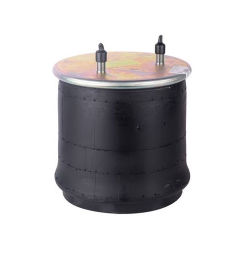 Air Springs Complete With Pistons - 789385-CPL