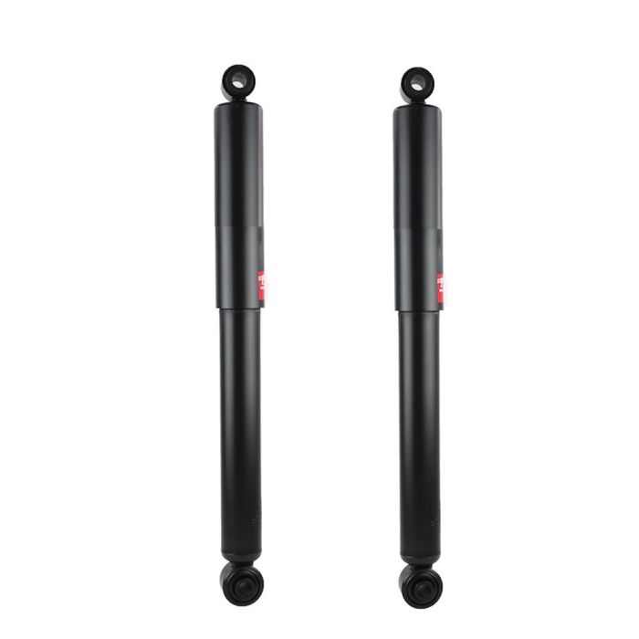 Excel-G Rear Gas Shock Absorber/Strut (Set) - 308022