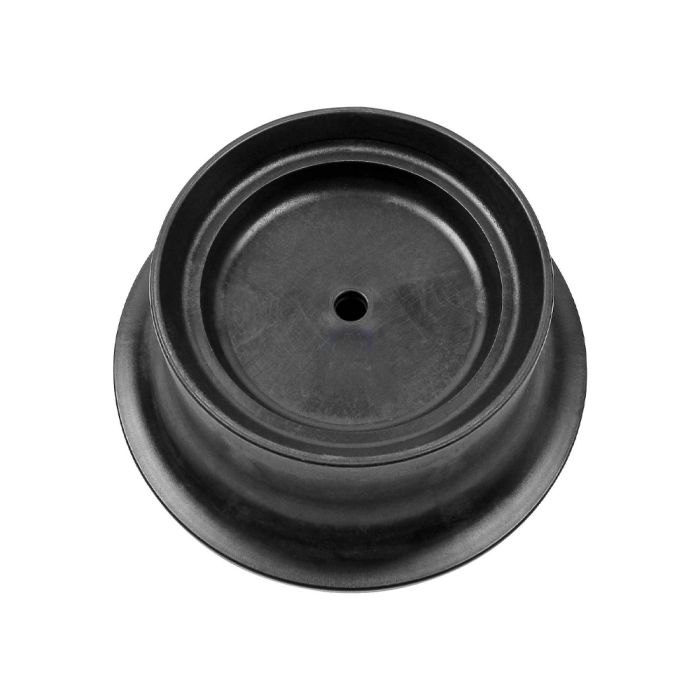Air Springs Complete With Pistons  - 788961-CPL