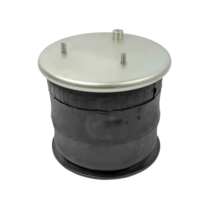 Air Springs Complete With Pistons - 786251-1CPL