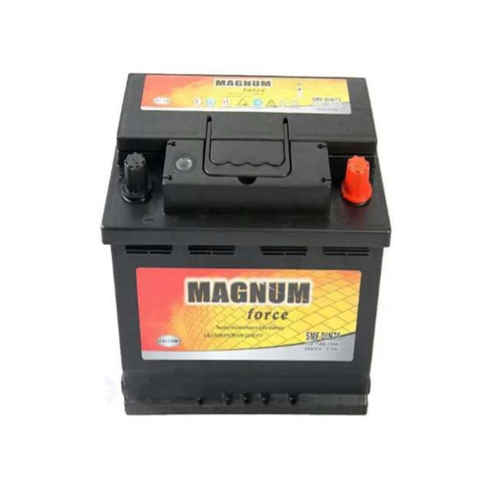 Magnum Battery - MLG2213